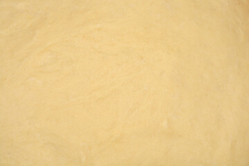 An overhead close-up shot of a smooth piece of fresh dough