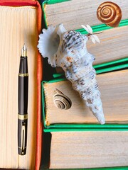 Arrangement of Old Books Seashells Pen and Dragonfly for Writer Inspiration