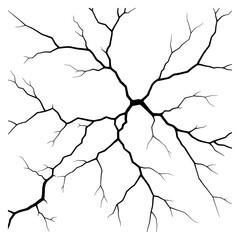 Obraz premium A Stark Black Tree Branch Network Design on White Background, Graphic Illustration, Abstract Art