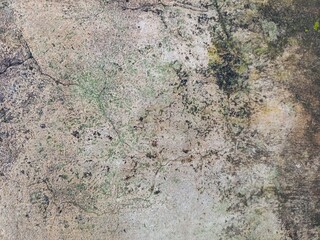 Organic Grunge Texture of a Mossy Concrete Surface