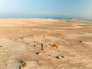 Steroh dunes, Yemen - 23 November 2024: Aerial view of a lone camel and its handler traversing the vast, undulating dunes, where stark shadows meet the soft, sandy expanse.