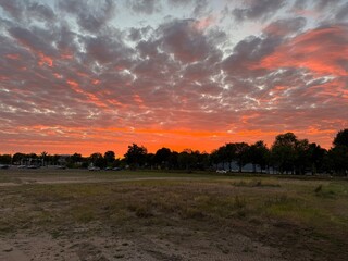 sunset over the field