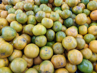 A large pile of oranges with a mix of green and yellow peels, indicating varying stages of ripeness. The fruits are stacked haphazardly, showcasing their slightly bumpy texture in a natural.