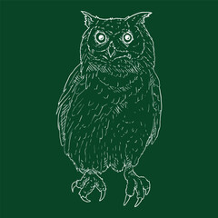 Owl Vector Chalk Sketch Illustration