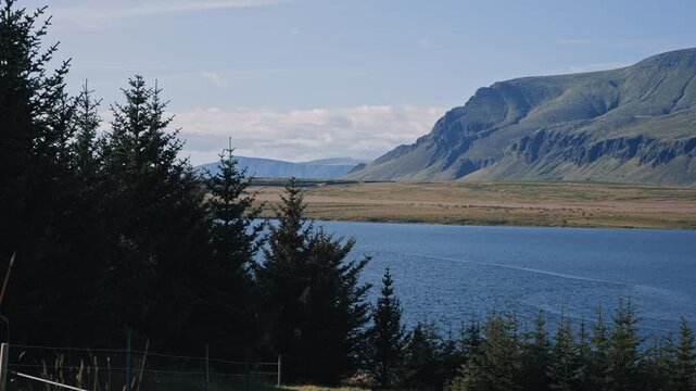  Mount Esja behind Forest and Lake Iceland