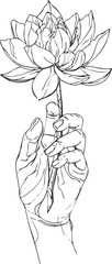 A hand delicately holding a lotus flower in a minimalist line art style. Black on transparent background.
