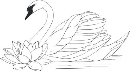 A graceful outline of a swan beside a blooming lotus flower in a serene water setting. Black on transparent background.