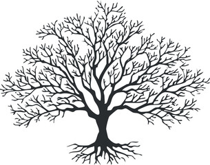 A detailed silhouette of a tree with intricate branches and roots, ideal for nature themes. Black on transparent background.