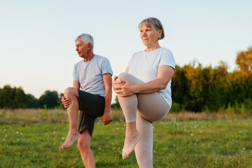Active seniors engage in a morning yoga session in a peaceful outdoor setting surrounded by nature and greenery