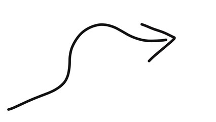 Hand-drawn wavy arrow icon pointing right, symbolizing a flexible path and dynamic direction.