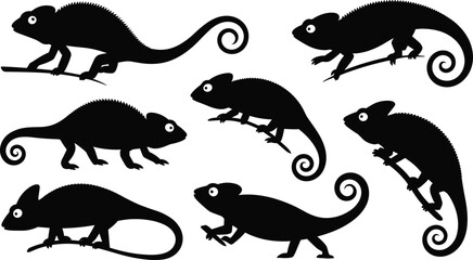 Chameleon silhouettes vector collection, lizard reptile illustration, curled tail chameleons on branches, wild exotic animal icons, black graphic art