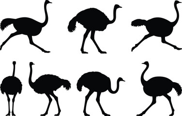Ostrich bird silhouettes collection, walking and running ostriches, black ostrich vector set, flightless bird illustration, wild animal art