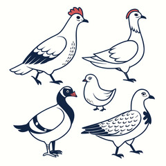 Collection of stylized cartoon birds including chickens and pigeons with simple line art and flat design