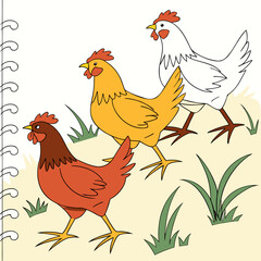 Three cartoon chickens of different colors walking together in a grassy field