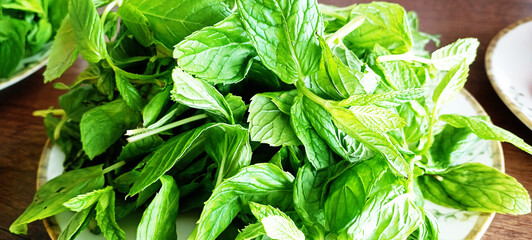 Mint leaves isolated on white. Spearmint leaves collection clipping path. Small macro studio photo