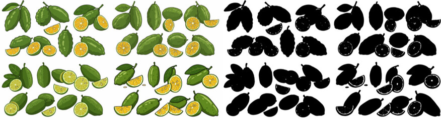 Pomegranate fruit set with transparent background