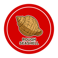Rough seashells icon 