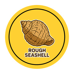 Rough seashells icon 
