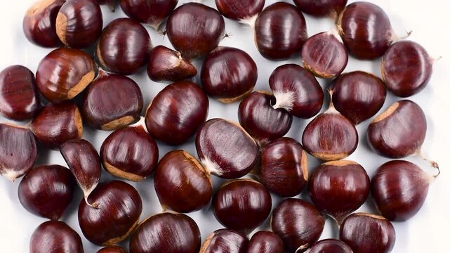 Pile of Italian raw chestnuts from the province of Frosinone in the Lazio region.View directly above on white plate,close-up,rotating video.