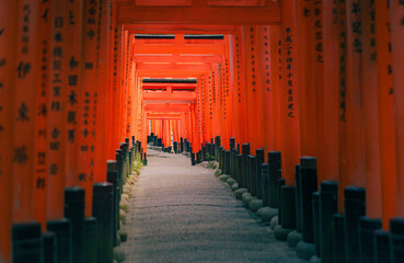 Fototapeta premium Many unidentified tourists visit Fushimi Inari Shrine , Japan on SEPTEMBER 12, 2024