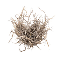 Obraz premium Close-up of a bird's nest made of dried grasses and twigs. The nest is a light beige color and appears compact and intricate