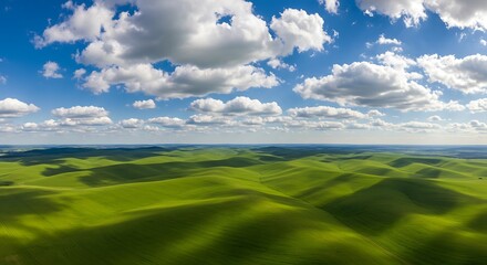 Fototapeta premium Sun-Dappled Hills of Summer