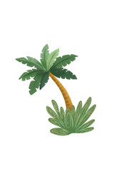 Coconut tree