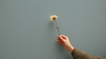 Minimalist photo of a person’s hand holding a single flower stem against a flat wall.