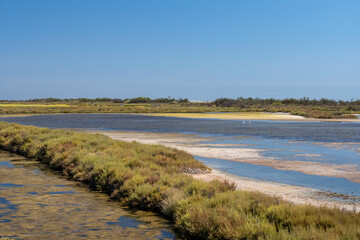 landscape of the river