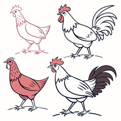 Collection of stylized line art illustrations of roosters and hens in different colors and styles