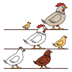 Cute cartoon chickens and chicks standing on horizontal lines against a white background