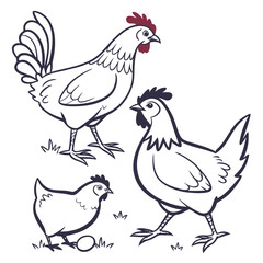 Three cartoon chickens including a rooster and a hen with an egg on white background