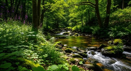 Fototapeta premium Lush Green Forest Stream Serene Nature Scene with Vibrant Foliage and Clear Water