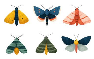 Set of cute colorful textured hand drawn moths, transparent background, PNG