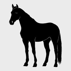 Black silhouette of a horse, vector illustration, white background