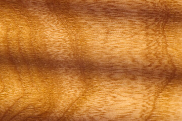 A close-up view captures the intricate patterns and textures of wood grain, highlighting the natural