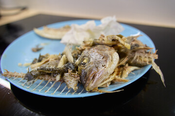 Dorado fish served on a plate with bones and remnants after a meal