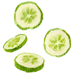 Watercolor painted cucumber. Hand drawn fresh food design elemen