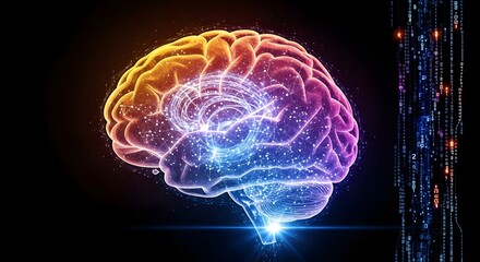 Illuminated brain with neural network connections and digital code on a black background space