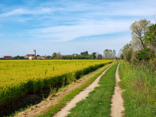 Country landscape near Tainate, in Milan province, Italy