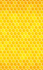 ハニカム背景_縦