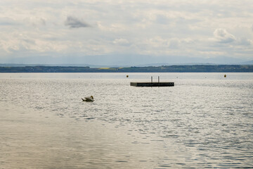 Bevaix, La Pointe du Grain, Neuenburgersee, Seeufer, Uferweg, Wassservögel, Naturschutz, Strand, Wassersport, Frühling, Neuenburg, Schweiz