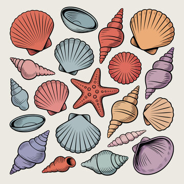 Collection of colorful seashells and starfish on a light background Keywords: seashells