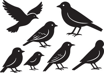 Fototapeta premium Bird Silhouette Vector Set in Black with Flying and Perched Poses for Nature, Wildlife, and Decorative Design Themes