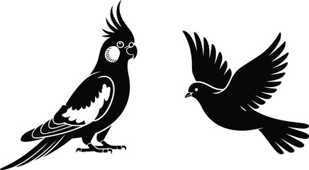 Cockatiel and dove bird illustration, black and white silhouette, flying and standing pose, exotic pet, wildlife, feathers, vector art.
