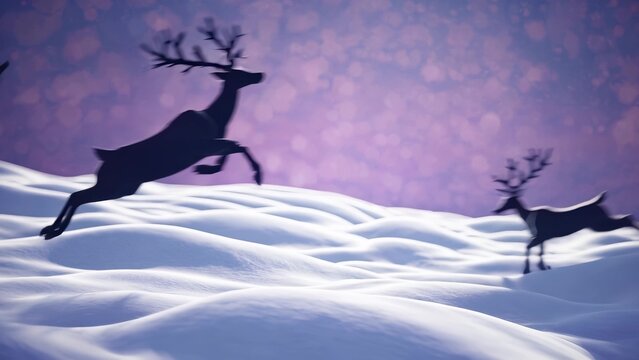 Deerlings snow. A reindeer running the snow in the wilderness in winter. A majestic twilight with antlers and a twilight in the frozen nature. Fawns in the snow lifestyle.