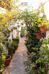 Casares, Andalusia, Spain. 5 September 2025. Traditional street with flowers on white walls.
