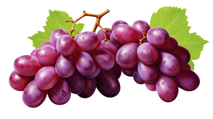 Fototapeta premium Fresh juicy purple grapes with green leaves and water drops isolated on white background 