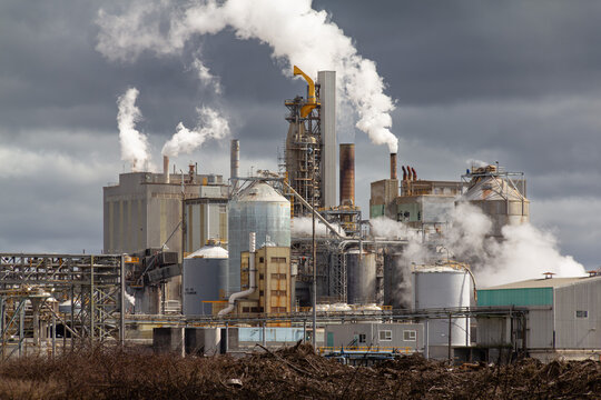 Kinleith Mill, New Zealand. Pulp and paper plant. Photo taken shortly after paper production ceased in June 2025 and only bleached kraft pulp production continued.