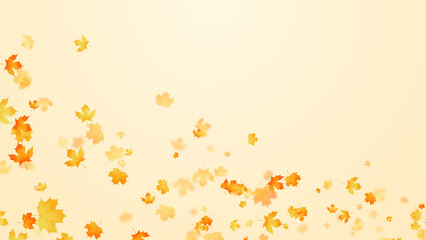 colorful autumn maple leaves falling, leaf fall thanksgiving and Halloween copy space social media background	